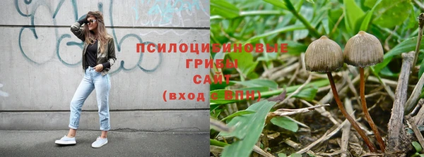 меф Нефтегорск