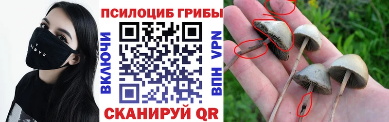 купить МЕГА ТОР Псилоцибиновые грибы ЛСД Аткарск